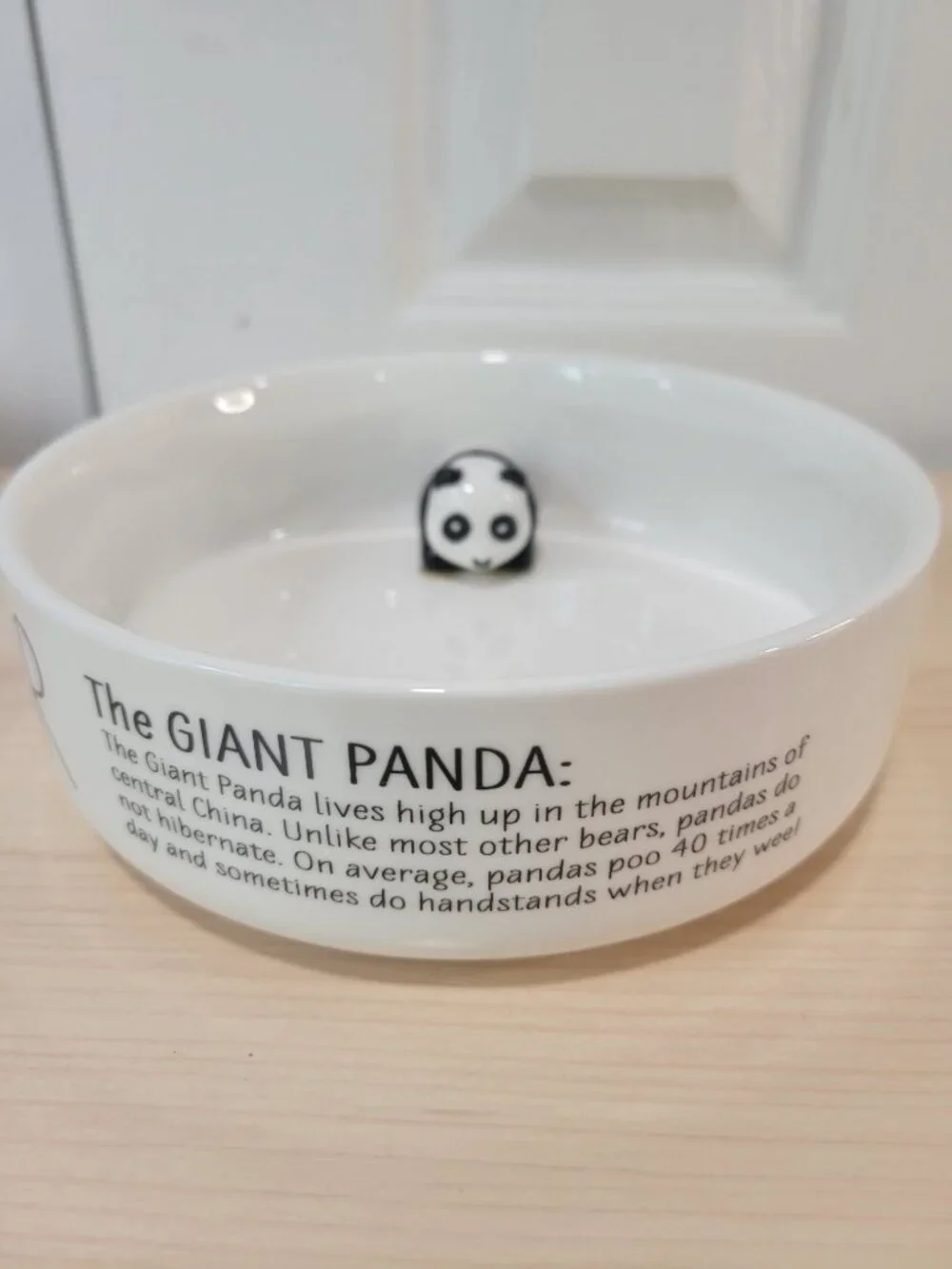 Honest Goods Pair of Bamboo 3D Ceramic Panda 6.5